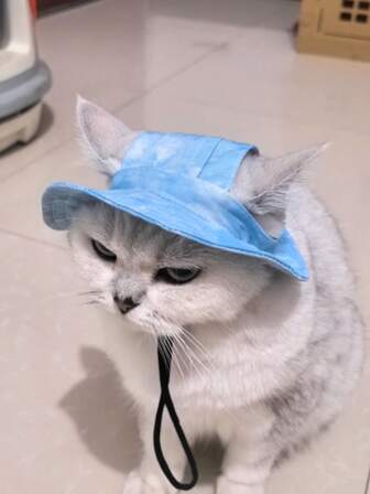 可调节宠物遮阳帽，带耳孔，适合大、中、小型犬、猫，户外远足、夏季佩戴