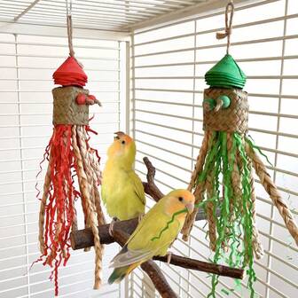 适合玄凤鹦鹉和虎皮鹦鹉的趣味鹦鹉玩具 - 鸟类咀嚼草编织玩具、可撕纸减压玩具、玉米皮悬挂吊坠、小型宠物鸟互动游戏