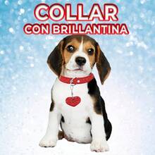 Collar Bling Forma Corazón Brillante Mascotas 40cm Tamaño M - Rojo - Ver 4