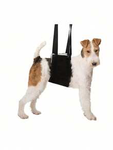 Dog Walking Assistance Harness, Soft Plush Elderly/Injured Dog Assistance Harness, Breathable Rehabilitation Care Harness, Disabled Dog Stairs & Car Assistance Harness, Rear Leg Assistance Harness - Multicolor - View 2