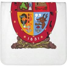 - Toallas de mano con bandera de Sinaloa - Secado rpido, toallas de microfibra de terciopelo coral, altamente absorbentes, uso como hotel, bao, ducha, toalla de mano, 16x 28 pulgadas - Toallas de mano Blanco + - 16x28 pulgadas - Ver 5