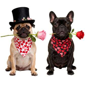 Valentine Dog Bandana, Multi Size, Reversible Triangle Bibs Scarf Valentine Bandanas For Small&Medium Large Dogs