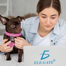 Collar Bling Forma Corazón Brillante Mascotas 40cm Tamaño M, collar para perro gato brillante, accesorios modernos para mascotas, diseño de corazón, collar tamaño mediano resistente - Rosa - Ver 5