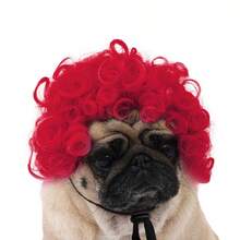 Funny Pets Wigs For Dog Rainbow Curly Dog Wig Adjustable Pet Wigs For Halloween Pet Decoration Accessories - Multicolor - View 20