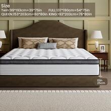 RWAEZYBLUX Queen Size Mattress Intelligent Sleep Matrix: 10/12/14-Inch X Twin/Full/Queen/King - 12 Models With Scientifically Balanced Pocket Springs & Memory Foam, Tailoring Your Healthy Sleep - 10英吋 - 查看 11