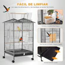 Bird Cages