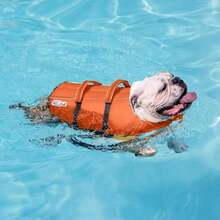 Outward Hound Dawson Swim Dog Life Jacket, High-Performance Neoprene Dog Life Vest For Swimming, Boating, And Water Safety, Medium, Red - ColorD - 查看 6