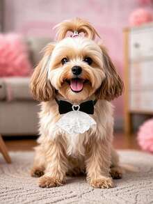 1 buc. accesoriu reglabil pentru animale de companie, similar cu papionul, potrivit pentru nunți și Ziua Îndrăgostiților, design unic cu fundă în formă de inimă, se potrivește câinilor și pisicilor de talie mică