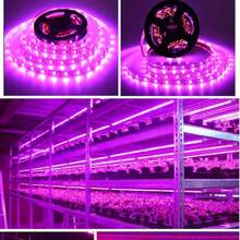 【LED植物生长灯】柔性全光谱LED植物生长灯条 - USB供电，适用于多肉植物、花卉、水果和蔬菜，粉色和紫色光，室内园艺适用，促进生长，提高品质，延长花期，室内植物生长灯 - 紫色 - 查看 3