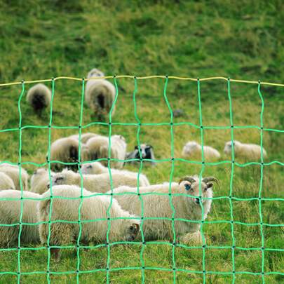 Red de cerca eléctrica, 35 pulgadas de alto x 164 pies de largo, cerca de red de PE con postes y estacas de doble púa, malla portátil utilitaria para cabras, ovejas, corderos, ciervos, cerdos, perros, utilizada en patios, granjas y ranchos