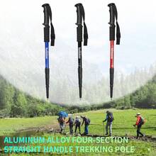 1 baston de trekking durabil și reglabil, cu mecanism intern de blocare prin răsucire și design ergonomic. Acest baston de drumeție unisex include o geantă de depozitare și accesorii multiteren. - Multicolor - Vizualizare 3