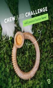 Benebone Ring Durable Dog Chew Toy For Aggressive Chewers, Real Bacon, Made In USA, Medium - Màu B - Xem 5
