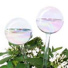 1pc/2pcs/3pcs/4pcs Rainbow Gradient Transparent Glass Self-Watering System Pointed Tip, Automatic Plant Watering Bulb, Rainbow Self-Watering Bulb, Glass Rainbow Plant Watering Bulb, Self-Watering Planter Insert, Indoor Automatic Plant Waterer, Plant Watering Device, Plant Water Bulb, Watering Bulb - Multicolor - View 12