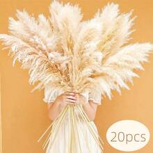 8/10/16/20 Bunches 100cm Pampas Grass Bouquet | Farmhouse Natural Style Extra Long Fluffy Pointed Design, Low Maintenance Bedroom Christmas Decor/Christmas DIY Holiday Arrangement/Floor Decor/DIY Enthusiasts [Extra Long][Low Maintenance Plant][Fluffy Style] - Khaki - View 14