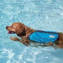 Outward Hound Dawson Swim Dog Life Jacket, High-Performance Neoprene Dog Life Vest For Swimming, Boating, And Water Safety, Medium, Red - ColorA - 查看 6