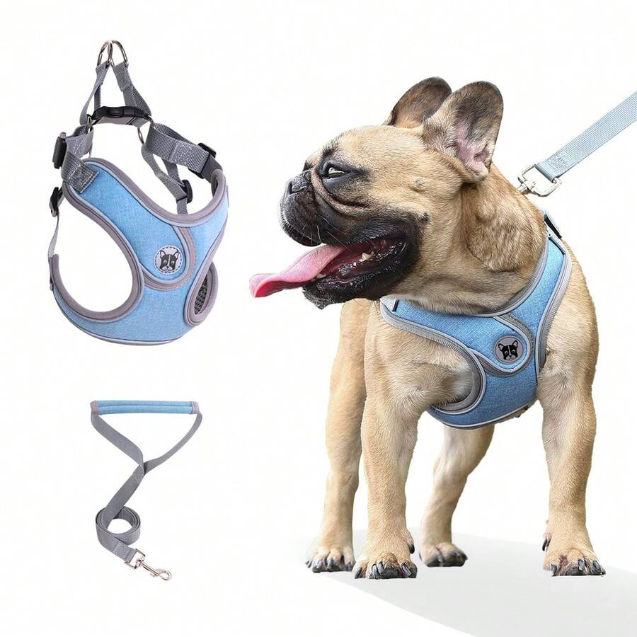 Arnés para perro con correa, arnés reflectante sin tirones ni ahogo para perros pequeños y medianos, ajustable y acolchado - Celeste - Ver 1