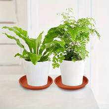 6 đĩa đựng cây màu nâu, đĩa đựng cây tròn bằng nhựa chịu lực 6-12in/16-30cm, khay trồng cây, đĩa đựng hoa trong nhà, bát tắm chim, khay đựng chậu hoa, phụ kiện trồng cây - màu nâu - Xem 10