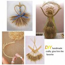 100/50/10 سنابل قمح جافة عالية الجودة - سنابل قمح طبيعية، مناسبة للمنزل والمطبخ والزفاف والحفلات والمناسبات الأخرى. يمكن استخدامها كديكور مركزي للطاولة بكميات 100/50/10 حزمة، إكليل الحصاد، ديكور منزلي ريفي بوهيمي، هدايا عيد الميلاد والتخرج، أو كنباتات اصطناعية. كما أنها مناسبة لباقات الزينة الديكورية مع الورود وأزهار أخرى. - متعدد الألوان - مشاهدة 4