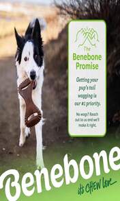 Benebone Dental Durable Dog Chew Toy For Aggressive Chewers, Real Bacon, Made In USA, Medium - ColorC - View 6