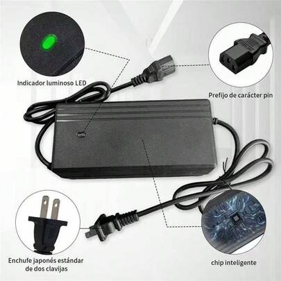 Cargador de bicicleta eléctrica: Modelo 48V20AH