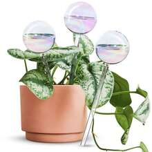 1pc/2pcs/3pcs/4pcs Rainbow Gradient Transparent Glass Self-Watering System Pointed Tip, Automatic Plant Watering Bulb, Rainbow Self-Watering Bulb, Glass Rainbow Plant Watering Bulb, Self-Watering Planter Insert, Indoor Automatic Plant Waterer, Plant Watering Device, Plant Water Bulb, Watering Bulb - Multicolor - View 1