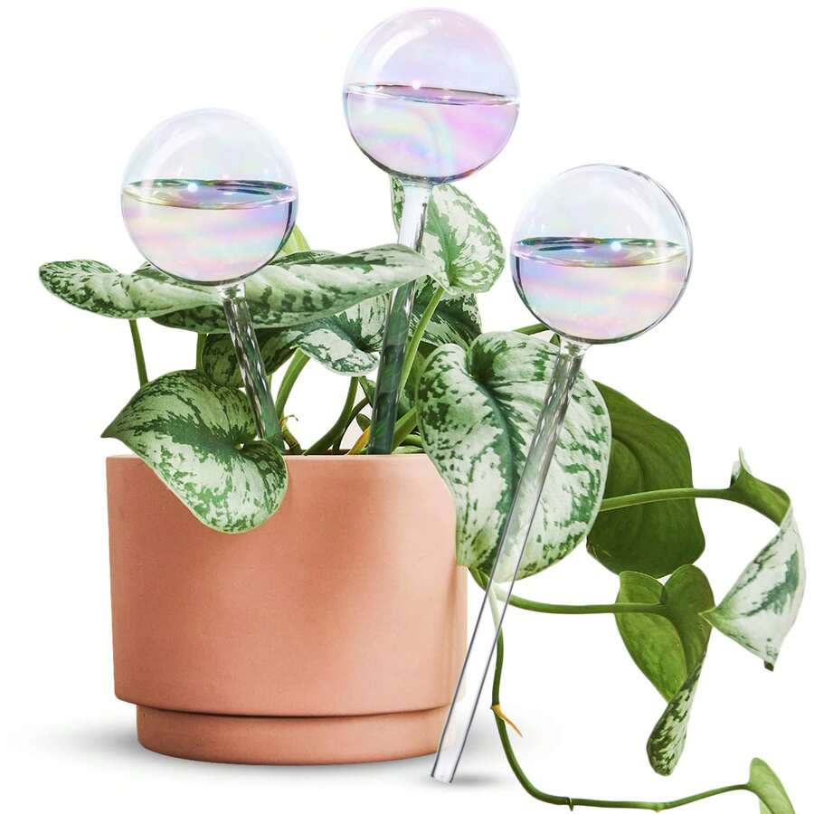 1pc/2pcs/3pcs/4pcs Rainbow Gradient Transparent Glass Self-Watering System Pointed Tip, Automatic Plant Watering Bulb, Rainbow Self-Watering Bulb, Glass Rainbow Plant Watering Bulb, Self-Watering Planter Insert, Indoor Automatic Plant Waterer, Plant Watering Device, Plant Water Bulb, Watering Bulb - Multicolor - View 1