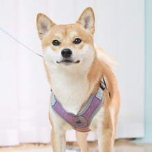 Dog Harness With Leash Set, No Pull No Choke Reflective Dog Harness Vest For Small Medium Dogs , Adjustable And Padded - Purple - View 7