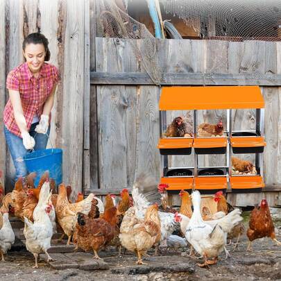 Belect Two-Tier Chicken Nesting Box-6 Hole Nesting Boxes For Laying Eggs,Wall Mounted Coop Nest With Large Vent Holes-Chicken Accessories & Poultry Supplies For Hens