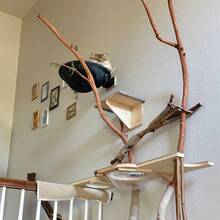 现代可拆卸猫吊床 - 舒适的聚酯纤维宠物床，适合小型至中型猫咪，易于组装 - 彩色 - 查看 4