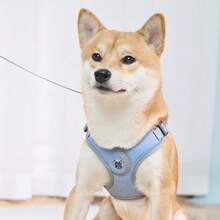 Arnés para perro con correa, arnés reflectante sin tirones ni ahogo para perros pequeños y medianos, ajustable y acolchado - Celeste - Ver 7