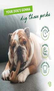 Benebone Ring Durable Dog Chew Toy For Aggressive Chewers, Real Bacon, Made In USA, Medium - Màu B - Xem 3