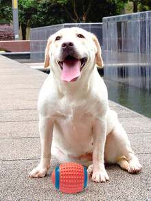 Squeaky Peanut Shaped Dog Chew Toy, Rubber Pet Teething Toy For Training & Entertainment - Multicolor - View 7