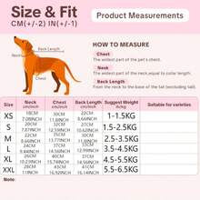 Capa base de otoño/invierno para mascotas (gatos/perros) de alta elasticidad, amigable con la piel, transpirable y cálida, adecuada para gatos sin pelo como el Sphynx y el Maltés, ropa de casa lavable a máquina - Verde - Ver 2