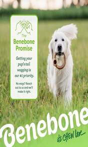 Benebone Ring Durable Dog Chew Toy For Aggressive Chewers, Real Bacon, Made In USA, Medium - Màu B - Xem 6