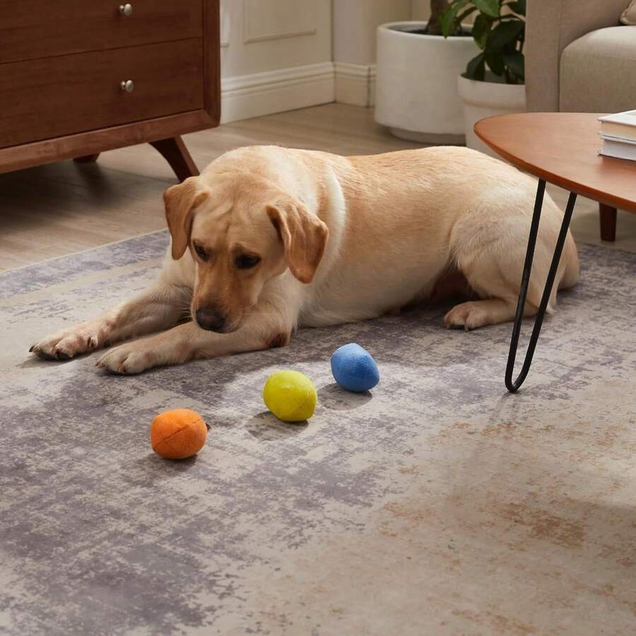Outward Hound Squeakin' Eggs Plush Replacement Dog Toys - 3 Pack - 彩色 - 查看 1