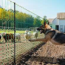 Red de cerca eléctrica , 42" de alto x 164' de largo, cerca de red de polietileno con postes y estacas de doble punta, malla portátil de uso general para cabras, ovejas, corderos, ciervos, cerdos, perros, utilizada en patios traseros, granjas y ranchos - 42 pulgadas - Ver 9