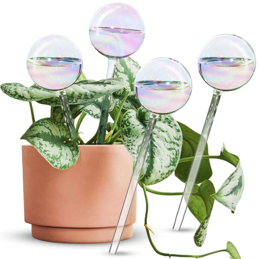 1个/2个透明彩虹渐变玻璃尖头自动浇水球,自动植物浇水球,彩虹自动浇水球,玻璃彩虹植物浇水球,自动浇水花盆内胆,室内自动植物浇水器,植物浇水装置,植物浇水球,浇水球 - 彩色 - 查看 1