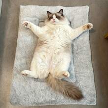 1片超柔软加厚保暖兔窝垫仓鼠睡垫仓鼠床舒适小型宠物垫宠物窝垫适合秋冬季小型动物