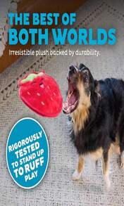 Outward Hound Tough Skinz Durable Squeaky Dog Toy With Two Tough Layers, Watermelon, Red, Medium - ColorF - 查看 3