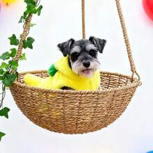 1件宠物卫衣，香蕉图案，蓬松加厚保暖连帽外套，适合猫狗，可爱宠物服装，宠物圣诞礼物