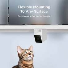 Pet Camera White, 2025 Year - As Pic - View 6