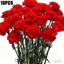 30 bông hoa cẩm chướng nhân tạo, hoa cẩm chướng bằng lụa dùng cho Ngày của Mẹ, Ngày Valentine, trang trí bàn tiệc cưới, tiệc cô dâu, trang trí bàn ăn, tiệc tại nhà, trang trí sinh nhật, vòng hoa tang lễ, bó hoa cưới, vòng hoa nghĩa trang, đồ thủ công tự làm. - Đỏ - Xem 1