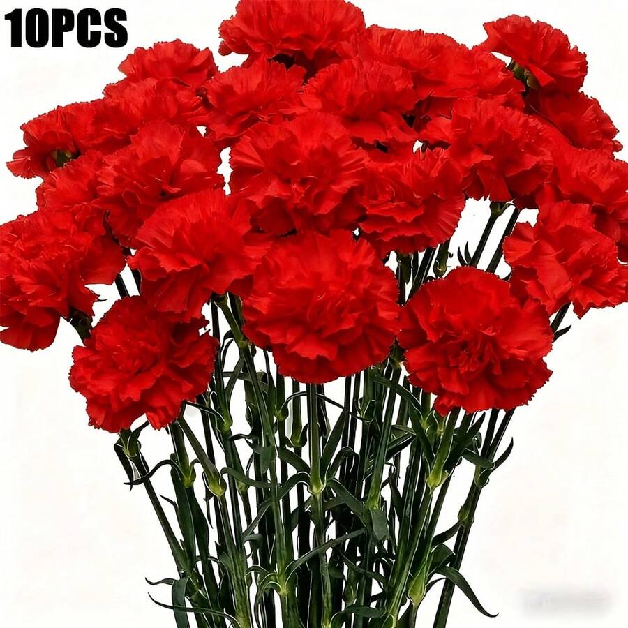 30 bông hoa cẩm chướng nhân tạo, hoa cẩm chướng bằng lụa dùng cho Ngày của Mẹ, Ngày Valentine, trang trí bàn tiệc cưới, tiệc cô dâu, trang trí bàn ăn, tiệc tại nhà, trang trí sinh nhật, vòng hoa tang lễ, bó hoa cưới, vòng hoa nghĩa trang, đồ thủ công tự làm. - Đỏ - Xem 1