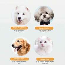 Eléctrico Clipper para Perros y Gatos, Rasuradora para Perros USB  Cortadoras de Pelo para Mascotas para Pelo Rizado y Largo, Bajo Ruido у Vibración - Multicolor - Ver 6