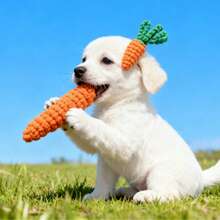 1pc Durable Dog Chew Toy - Carrot Design Rope Toy, For Teething And Interactive Play, Best Selling Rope Dog Toy, Handmade Mia Dog Bite Rope Pet Supplies - Multicolor - View 8