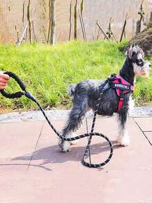 1pc Bubble Cotton Padded Anti-Explosion Reflective Pet Leash, Multi-Color Nylon Dog Leash, Suitable For Outdoor Walking Large/Medium/Small Dogs, Pet Supplies