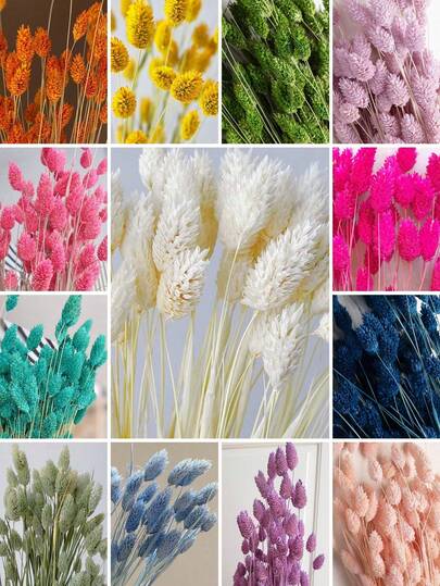 20/50/100pcs Gem Grass Dried Flowers, Multi-Color Options, For Home Decor, Vase Decor, DIY Bouquets, Cake Decoration