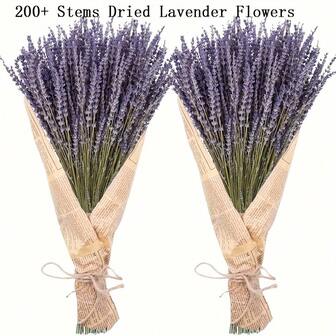 4/2/1 件装，干薰衣草花束，每束100多枝，长度15-17英寸，高品质干薰衣草花束，适用于淋浴、装饰、家居花瓶，手工制作，芬芳舒缓，天然干花，适合家居、婚礼、办公室和派对DIY花艺，天然香氛装饰 - DIY工艺品、摄影道具、花束装饰、大型人造花、花卉背景、花卉中心摆件、优质人造花