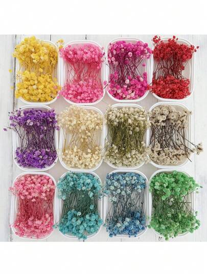 1盒迷你满天星及其他干花 - 适用于树脂模具工艺品，象牙白花束，可用于制作发饰、婚礼花环、桌面花瓶、家居装饰