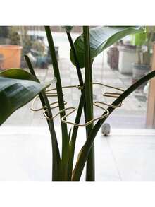 Durable Monstera Deliciosa Plant Support - Unique Design Suitable For Climbing Plants, Monstera Deliciosa Clip Set, Ideal Plant Support To Promote Healthy Growth - Multicolor - View 4